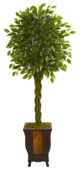 6" Braided Ficus Artificial Tree, Decorative Planter