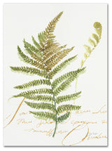 Lisa Audit 'My Greenhouse Fern II' Canvas Art, 24"x18"