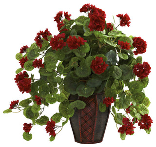 Geranium With Decorative Planter