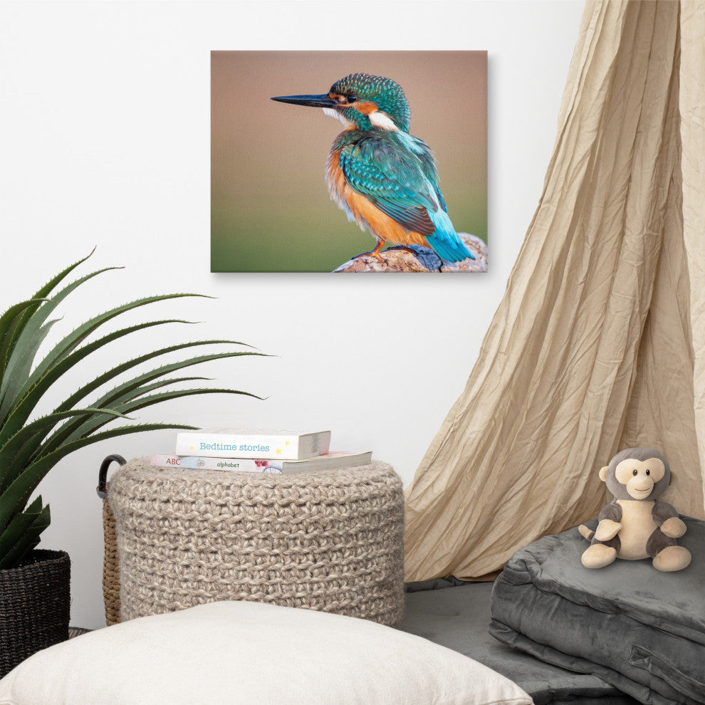 Common Kingfisher Bird on Perch Animal Wildlife Photograph Canvas Wall Art Print, 16" X 20"