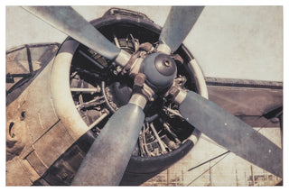 Iron Bird