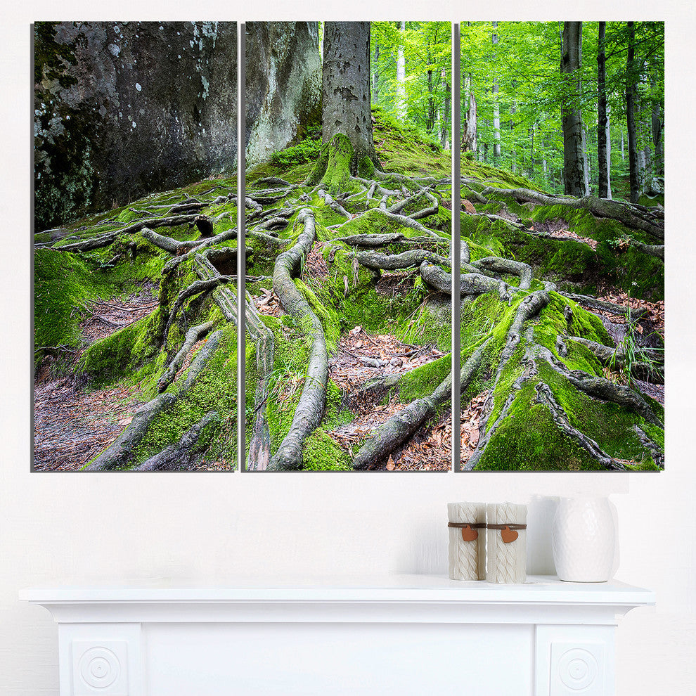 "Deep Moss Forest in Ukraine" Metal Wall Art, 3 Panels, 36"x28"