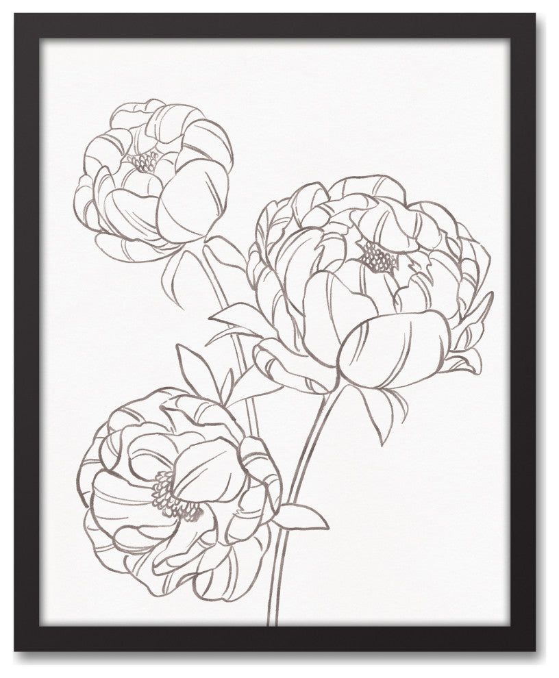 Gray Peony Sketch 16x20 Black Framed Canvas