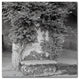 Alan Blaustein ''Campagnia II'' Canvas Art, 18x18