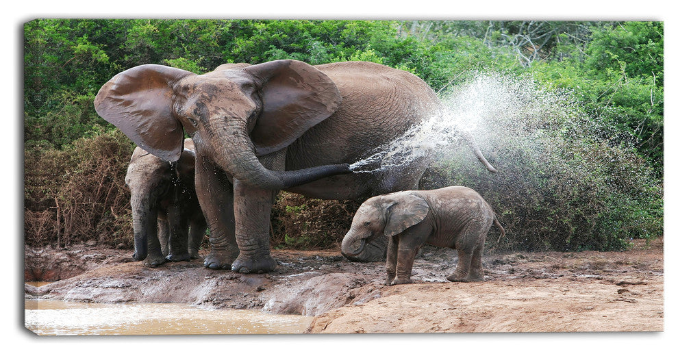 Elephant Spraying Water, African Canvas Art Print, 32"x16"