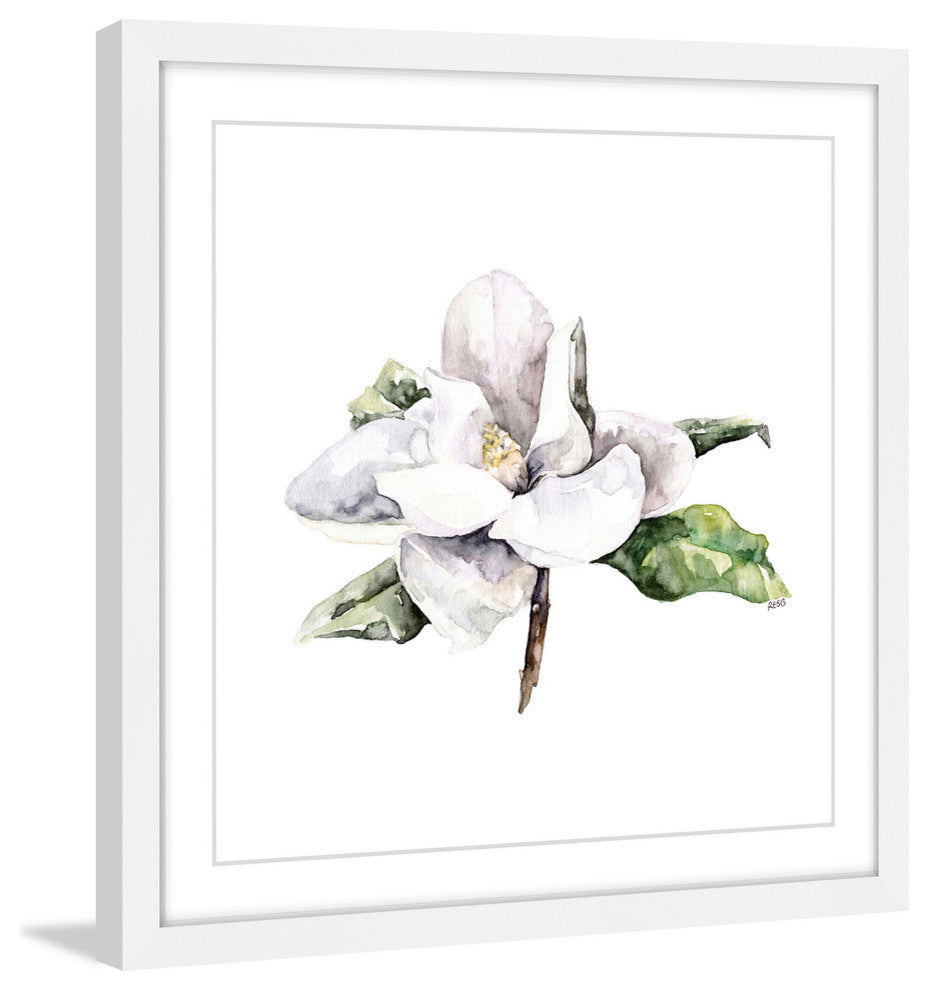 "Magnolia 4" Framed Print by Rachel Byler