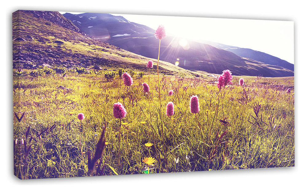 Mountain Pasture with Pink Flowers, Large Flower Canvas Art Print, 32"x16"