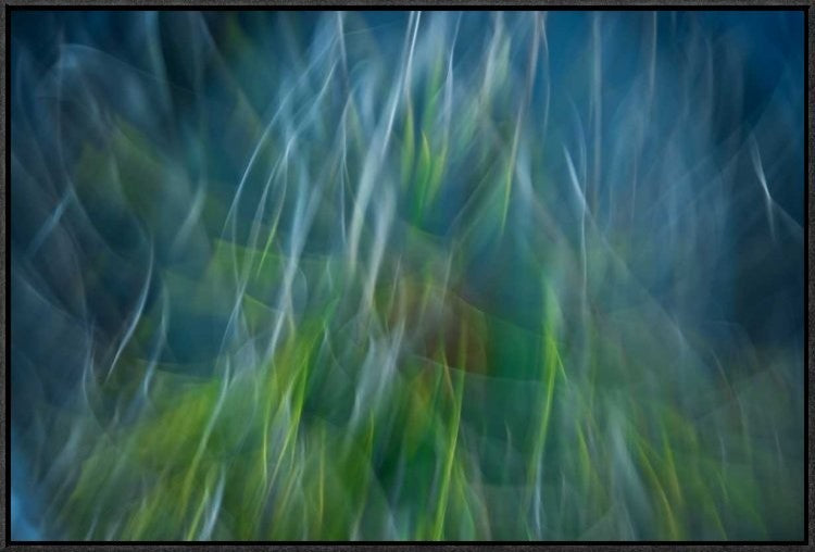 "Electro-Shock Blues" Framed Canvas Giclee by Abrantespaulo, 31x21"