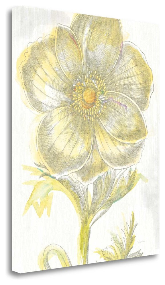 "Belle Fleur Yellow II Crop" By Sue Schlabach, Giclee on Gallery Wrap Canvas