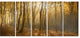 Thick Green Fall Forest with Fog, Forest Canvas Art Print, 60"x28", 5 Panels