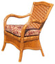 Kingston Reef Dining Chair in Cinnamon, Mint Fabric