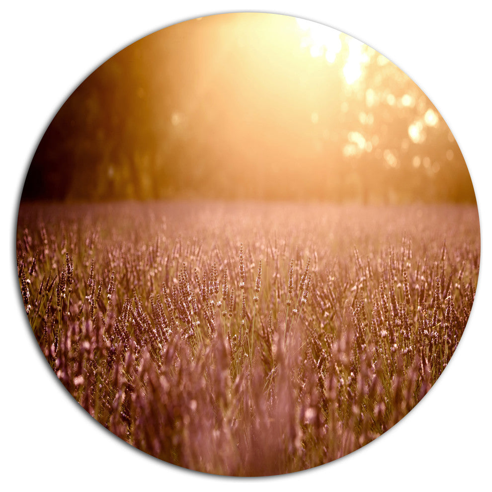 Brown Tinged Lavender Field Sunset, Floral Round Wall Art, 11"