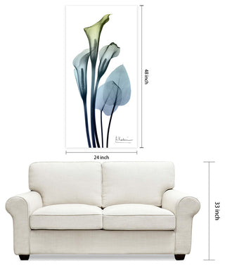 "Calia Lily" Frameless Free Floating Panel Graphic Wall Art, 24"x48"