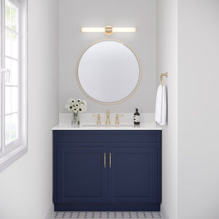 Trumann Collection 1-LIght 24" Modern Gold LED Vanity Light
