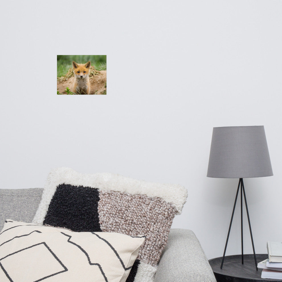 Coming Out (Baby Fox Pup) Wildlife Photography Unframed Wall Art Print, 8" X 10"