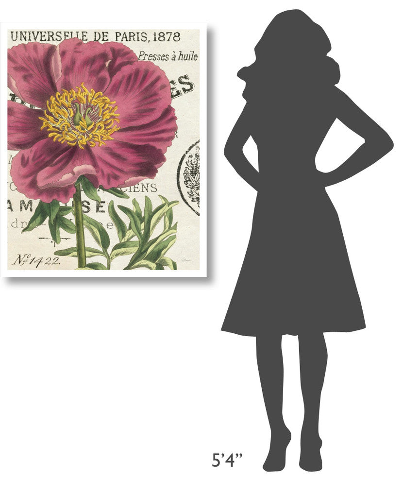 "Peony Botany" Digital Paper Print by Sue Schlabach, 30"x37"