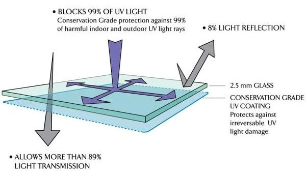 Single Diploma Frame with Double Matting, Premium Walnut, 14"x17", UV