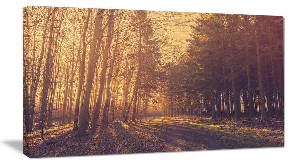 "Pine Tree Forest by Road" Landscape Canvas Photo Print, 40"x20"