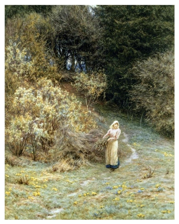 "In the Primrose Wood" Digital Paper Print by Helen Allingham, 15"x18"