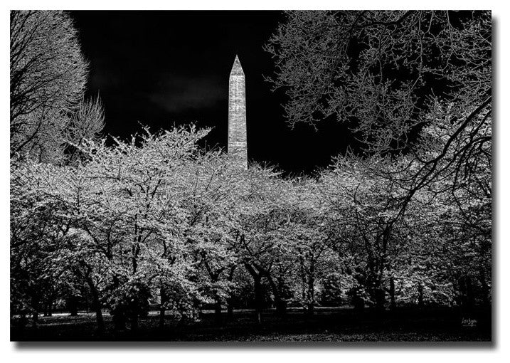 ''The Washington Monument at Night'' Canvas Art by Lois Bryan