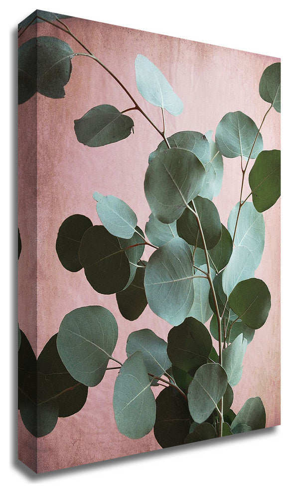 Sage Eucalyptus No. 1 by Lupen Grainne, Print on Canvas, 24" x 30"