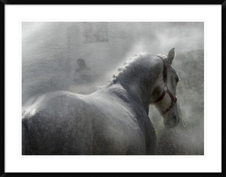 "Gramy" Framed Digital Print by Milan Malovrh, 40x32"