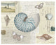 "Beach Wonders I" Digital Paper Print by Katie Pertiet, 37"x30"