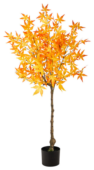 Full product shown on white background; front-facing