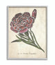 Botanical Carnation Flower Drawing Red Green Design, 16"x20", Gray Frame