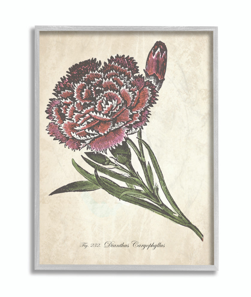 Botanical Carnation Flower Drawing Red Green Design, 16"x20", Gray Frame