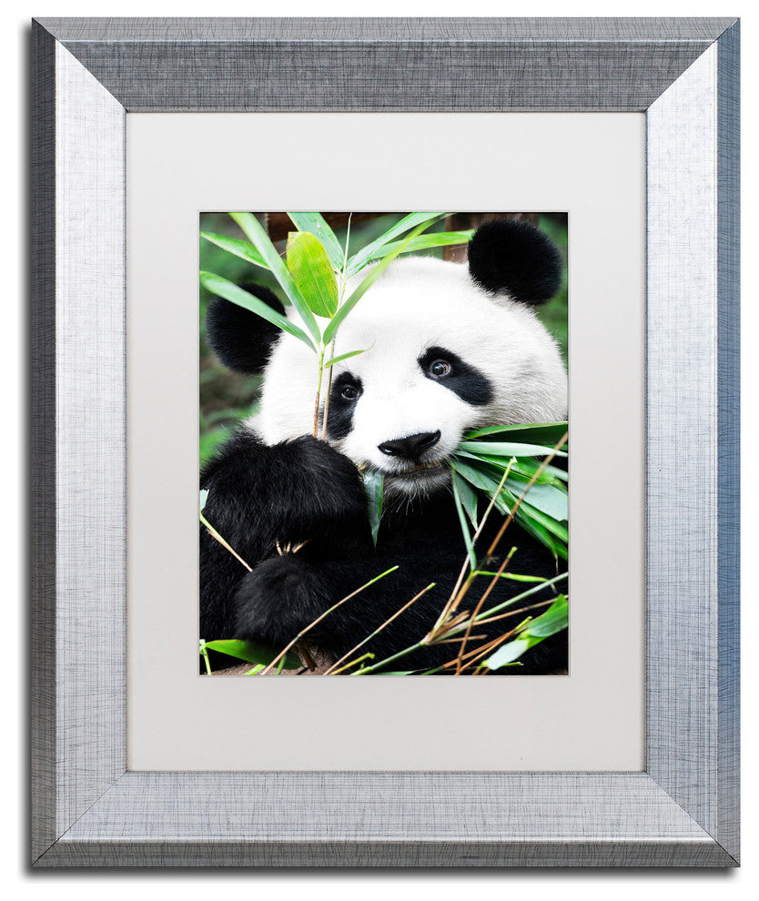 Philippe Hugonnard 'Giant Panda I' Art, Silver Frame, White Matte, 14"x11"