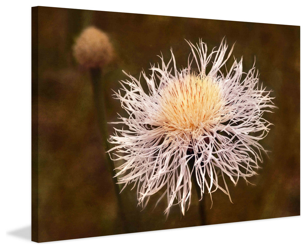 "Pandemonium" Painting Print on Canvas by Robertson