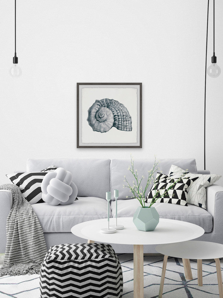 "Sturdy Shell" Framed Painting Print, 12"x12"