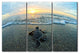 Ready2hangart Christopher Doherty Photography 'Turtle' 3-PC Canvas Art Set