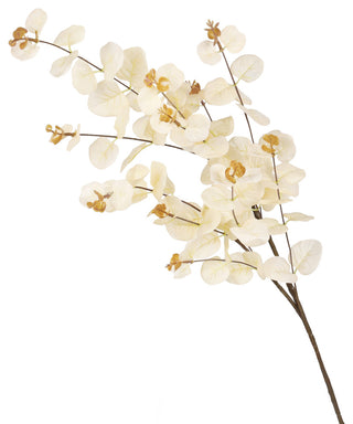 White background with a full branch view (alternate_white_full).