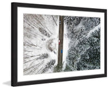 "Frozen Trees" Framed Print by Karolis Janulis