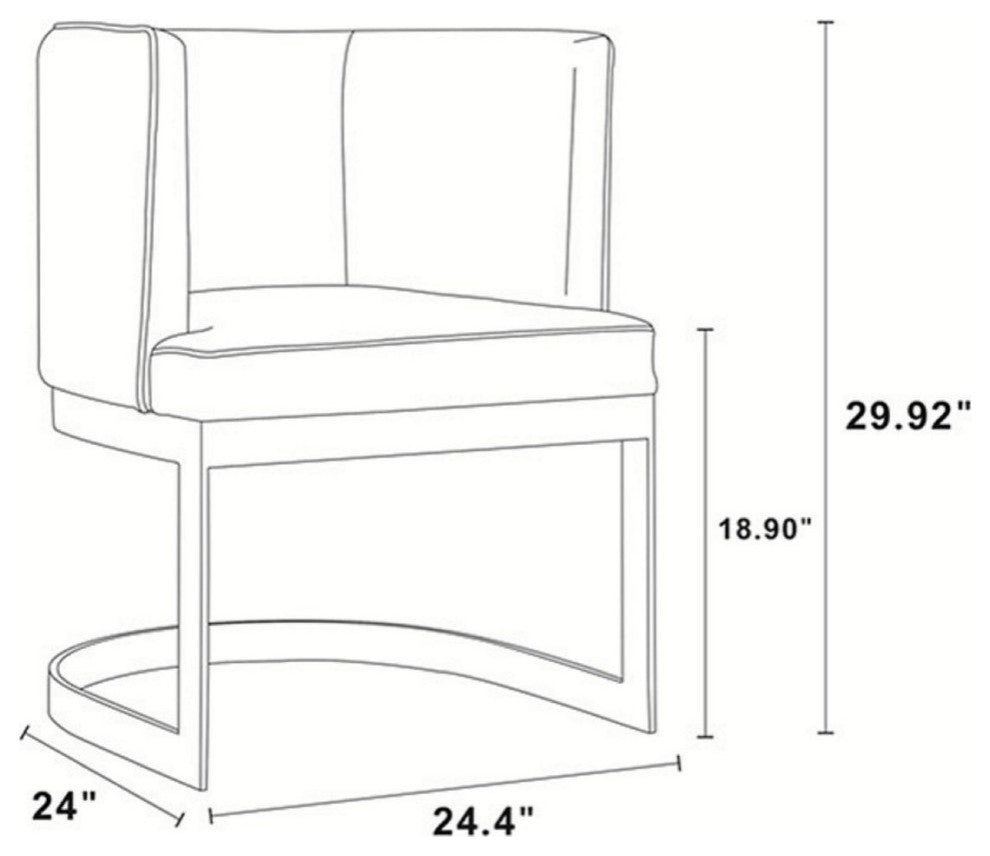 Manhattan Comfort Aura Dining Chair, Set of 2