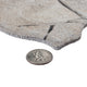 Andorra Marfil Ceramic Wall Tile