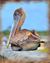 Pelican Wooden Block, 18 x 12