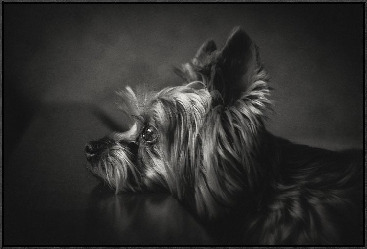 "I Have Been Waiting For You" Framed Canvas Giclee by Krisztina Lacz, 37x25"
