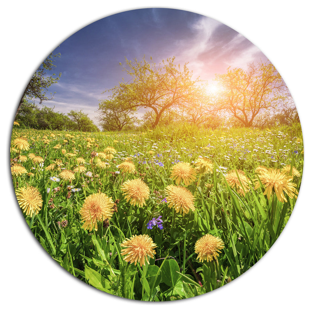Blossom Dandelions In Green Garden, Landscape Disc Metal Artwork, 36"