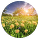 Blossom Dandelions In Green Garden, Landscape Disc Metal Artwork, 36"