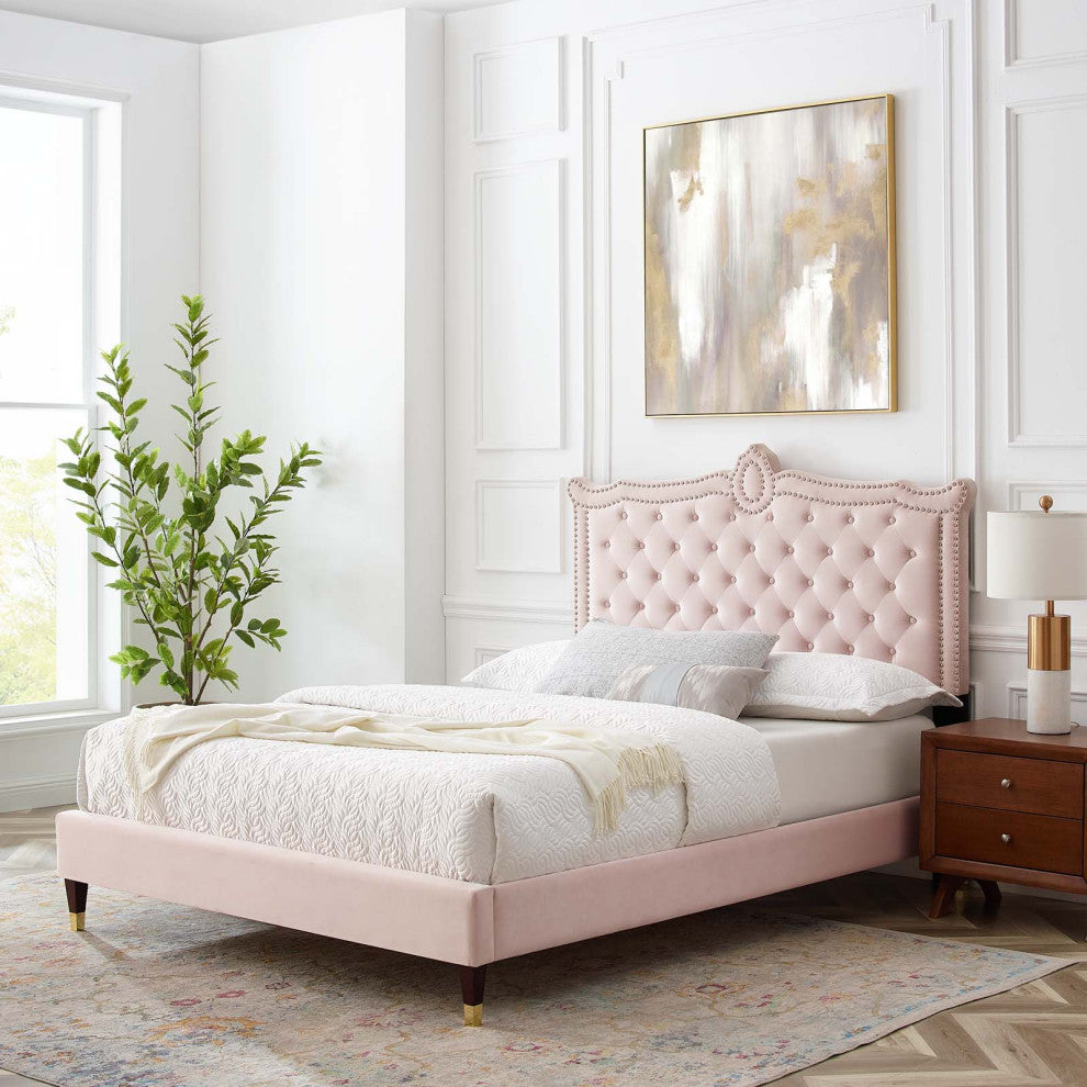 Platform Bed Frame, Nailhead, Queen Size, Pink, Velvet, Modern, Guest Suite