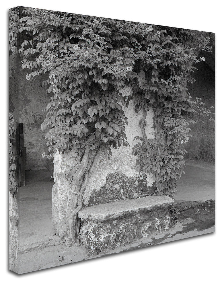Alan Blaustein ''Campagnia II'' Canvas Art, 18x18