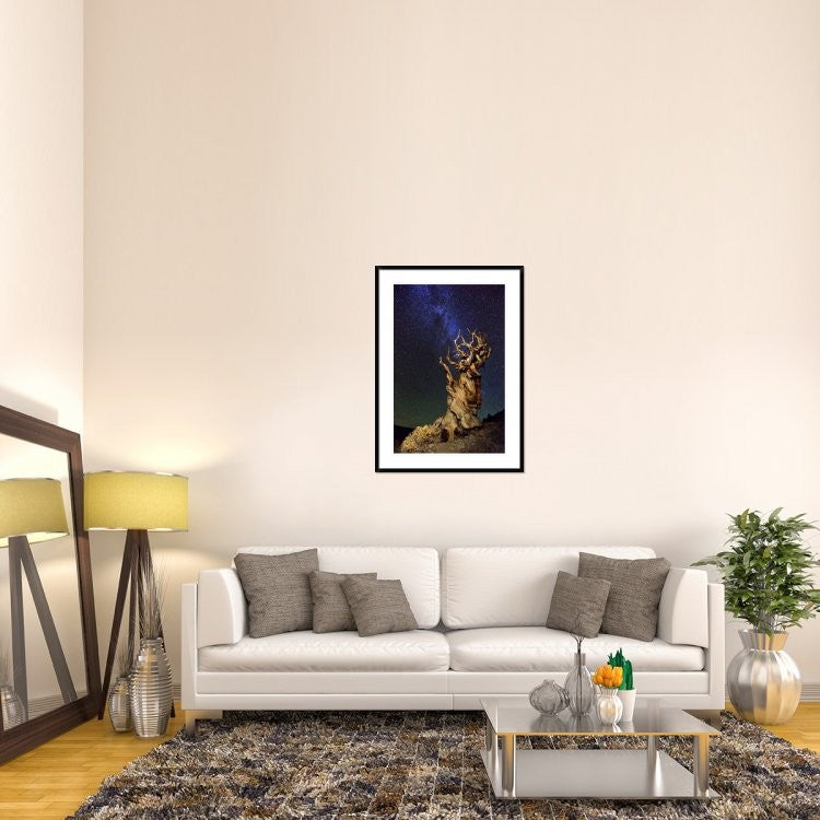 "Bristlecone Pine" Framed Digital Print by Tanja Ghirardini, 32x44"