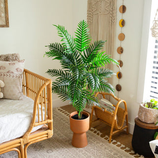 Real-room environment showing the full Areca palm planted in pot; lifestyle context.