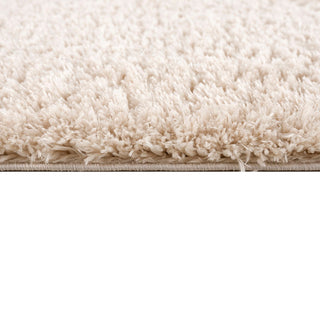Gewnee Camdyn Super Soft Polyester Shag Area Rug, 5.25'x7'