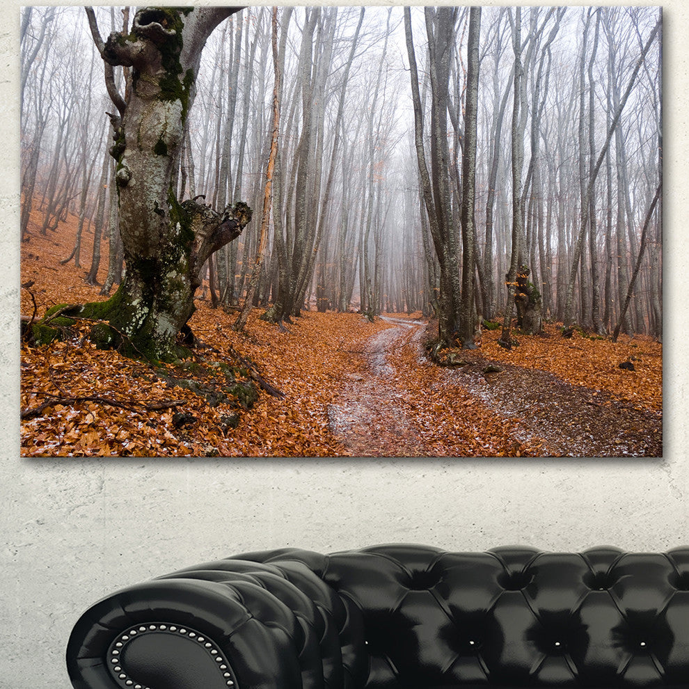 Road Covered by Fallen Leaves, Modern Forest Canvas Art, 40"x30"