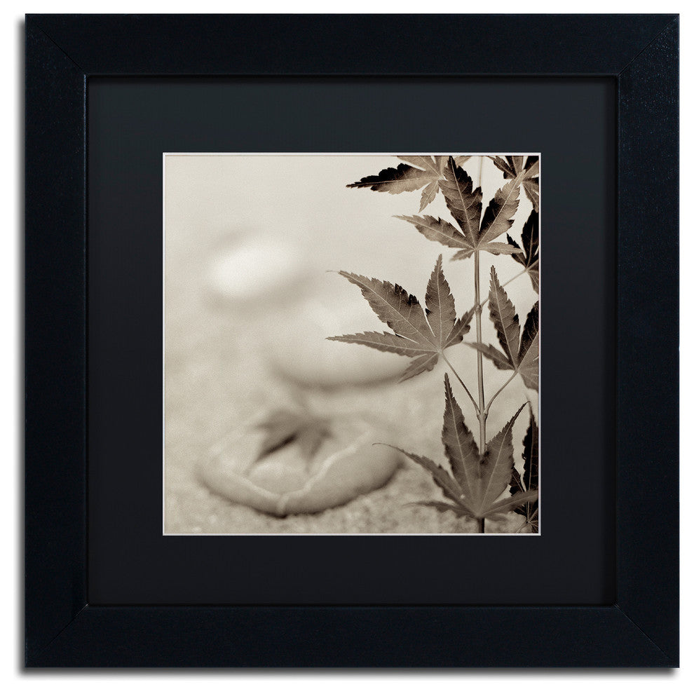 Alan Blaustein ''Florison 61'' Art, Black Frame, Black Mat, 11x11
