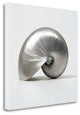 "Beachside Treasure I" By Assaf Frank, Giclee Print on Gallery Wrap Canvas